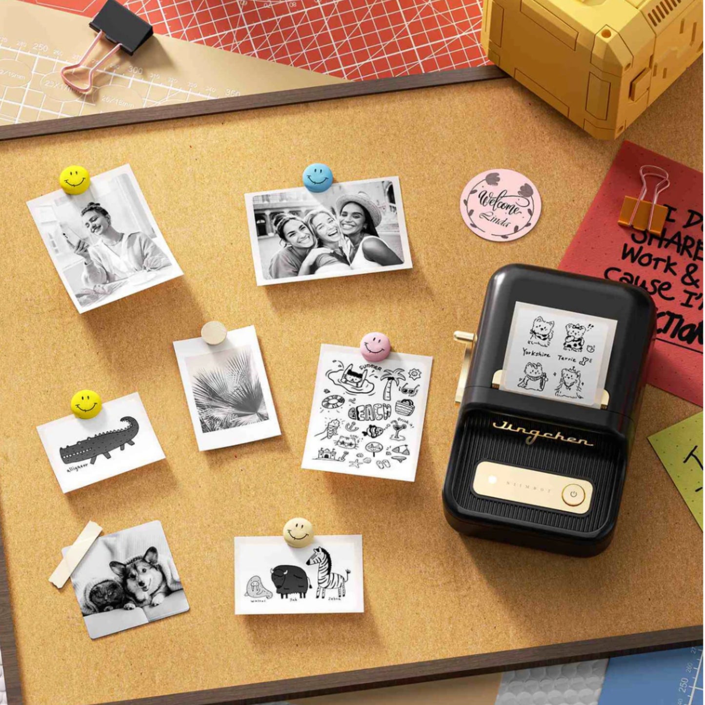 NIIMBOT B21 Inkless Label Maker