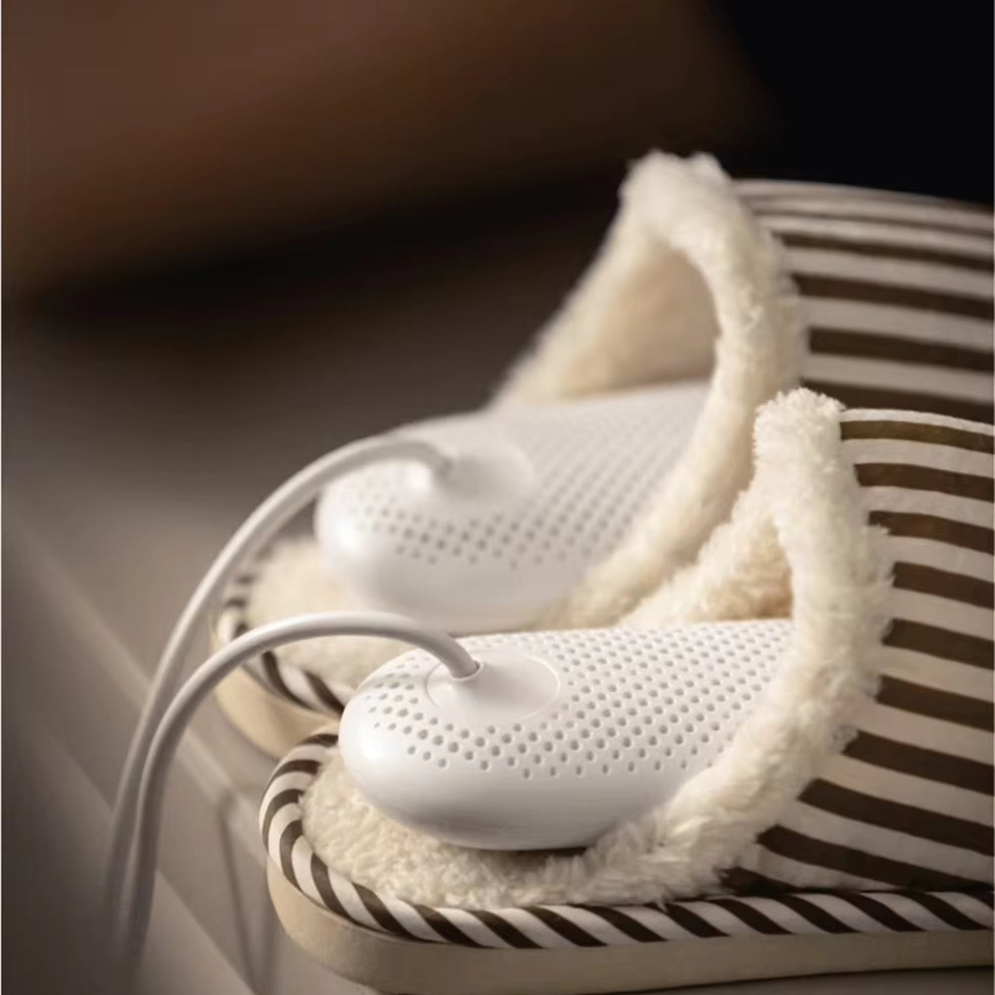 AirLite Travel Deodorizer