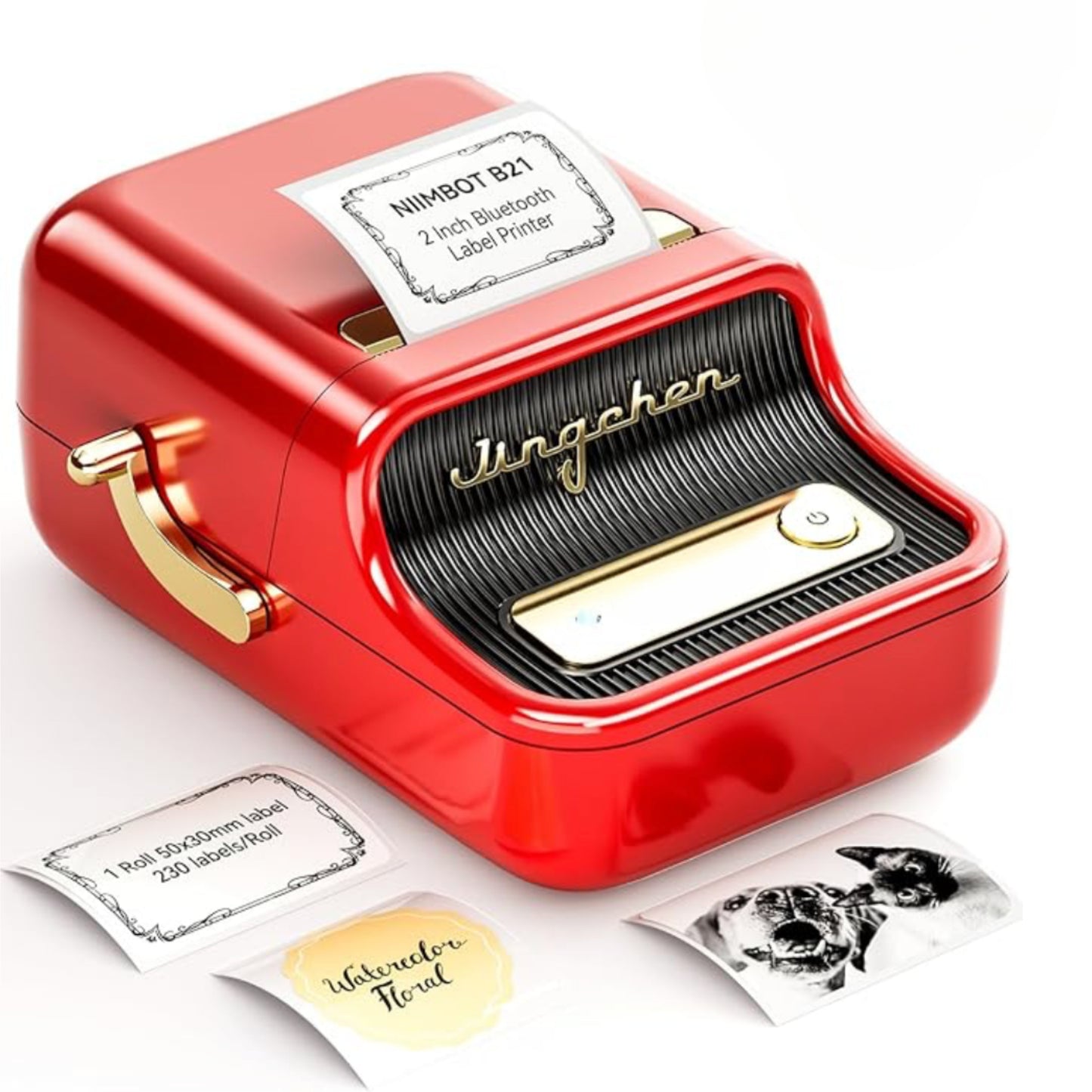 NIIMBOT B21 Inkless Label Maker
