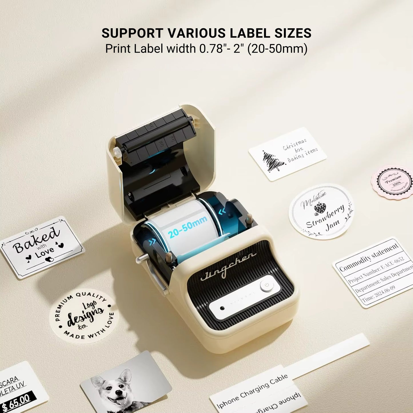 NIIMBOT B21 Inkless Label Maker